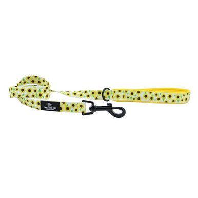 Ancol Soho Sunflower Patterned Lead - North East Pet Shop ANCOL