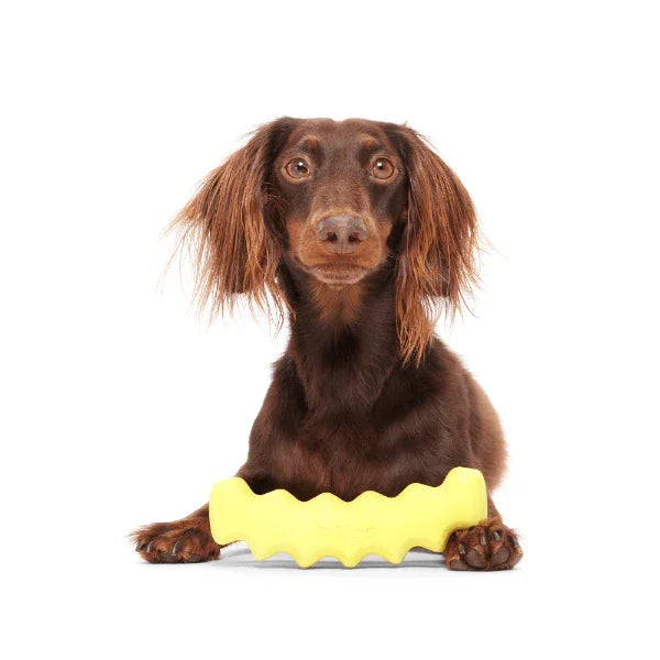 Bark Crinkle Fry Dog Toy - North East Pet Shop BARK