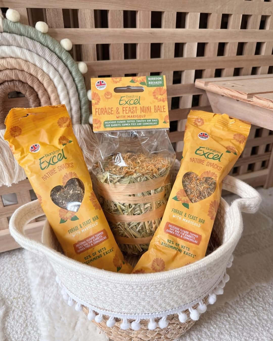 Excel Springtime Bundle - North East Pet Shop Burgess
