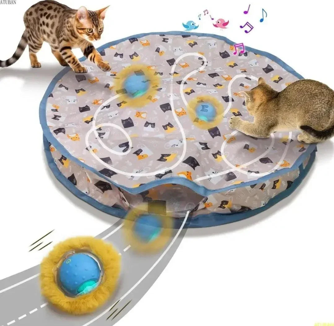 Extra Large Cat Interactive Maze Hunt Toy - North East Pet Shop North East Pet Shop
