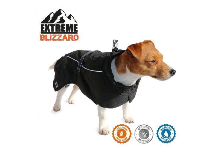 Extreme Blizzard Dog Coat Black 60cm XL - North East Pet Shop Ancol
