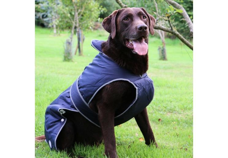 Stormguard Dog Coat Navy XL - North East Pet Shop Ancol