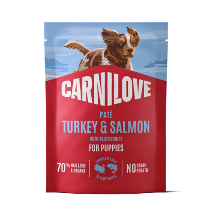 Carnilove Turkey & Salmon with Blueberries Puppy Dog 300G