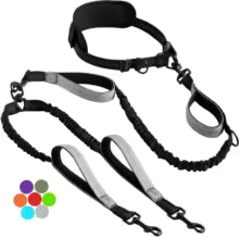 Explosive Double Dog Running Lead