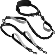 Explosive Double Dog Running Lead