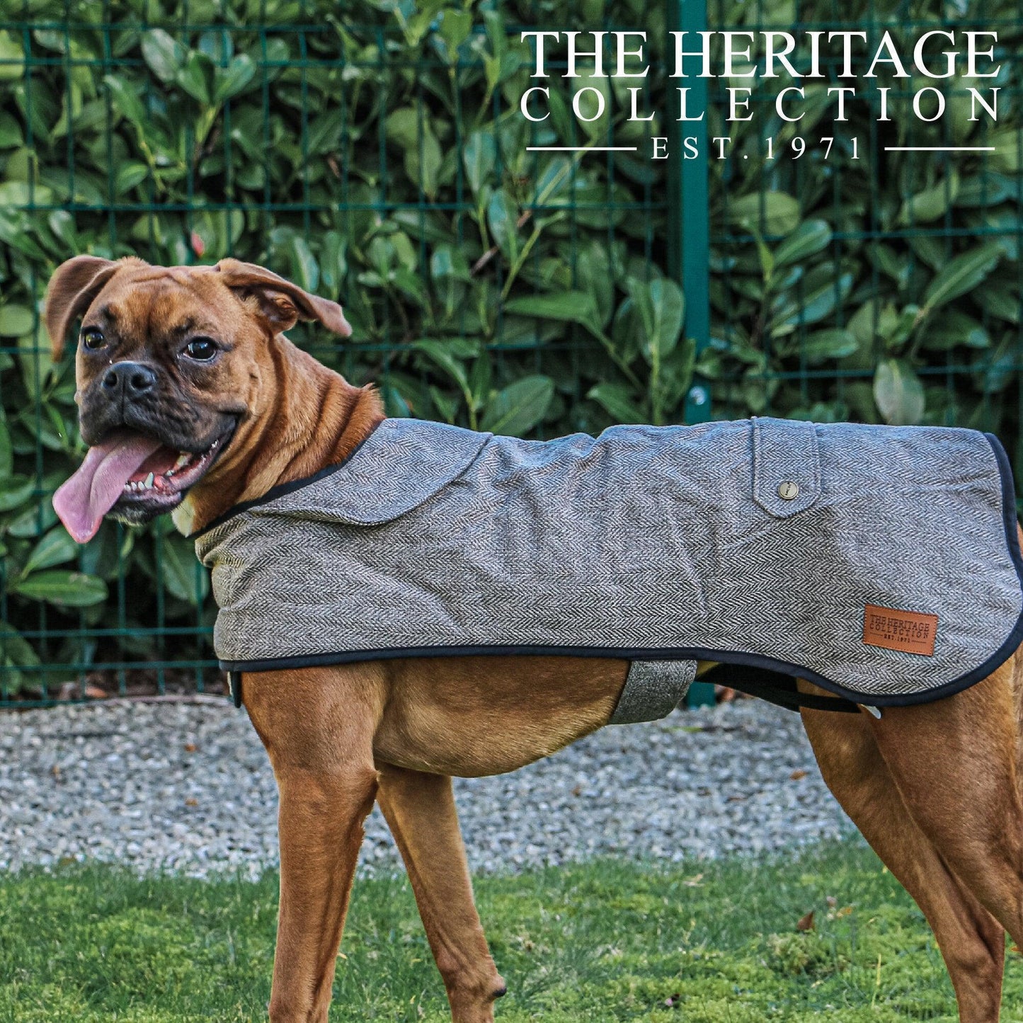 Ancol Heritage Collection Herringbone Coat Small 30cm - North East Pet Shop Ancol