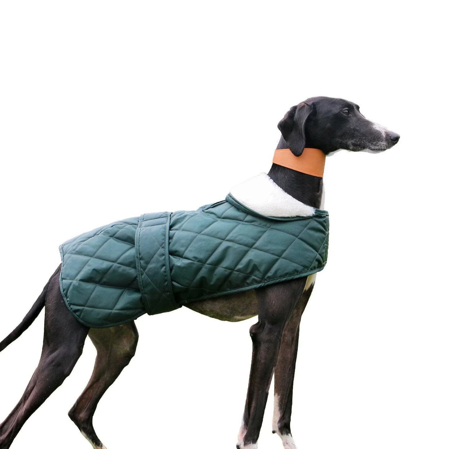 Ancol Muddy Paws Quilted Green Hound Coat Medium - North East Pet Shop Ancol