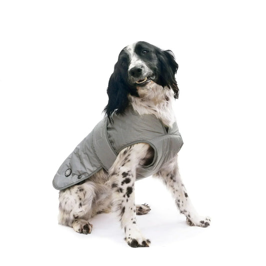 Ancol Muddy Paws Ultimate Reflective Dog Coat Medium - North East Pet Shop Ancol