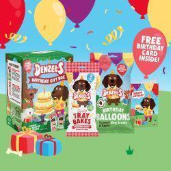 Denzel's Birthday Gift Box for dogs, 110g - North East Pet Shop DENZEL