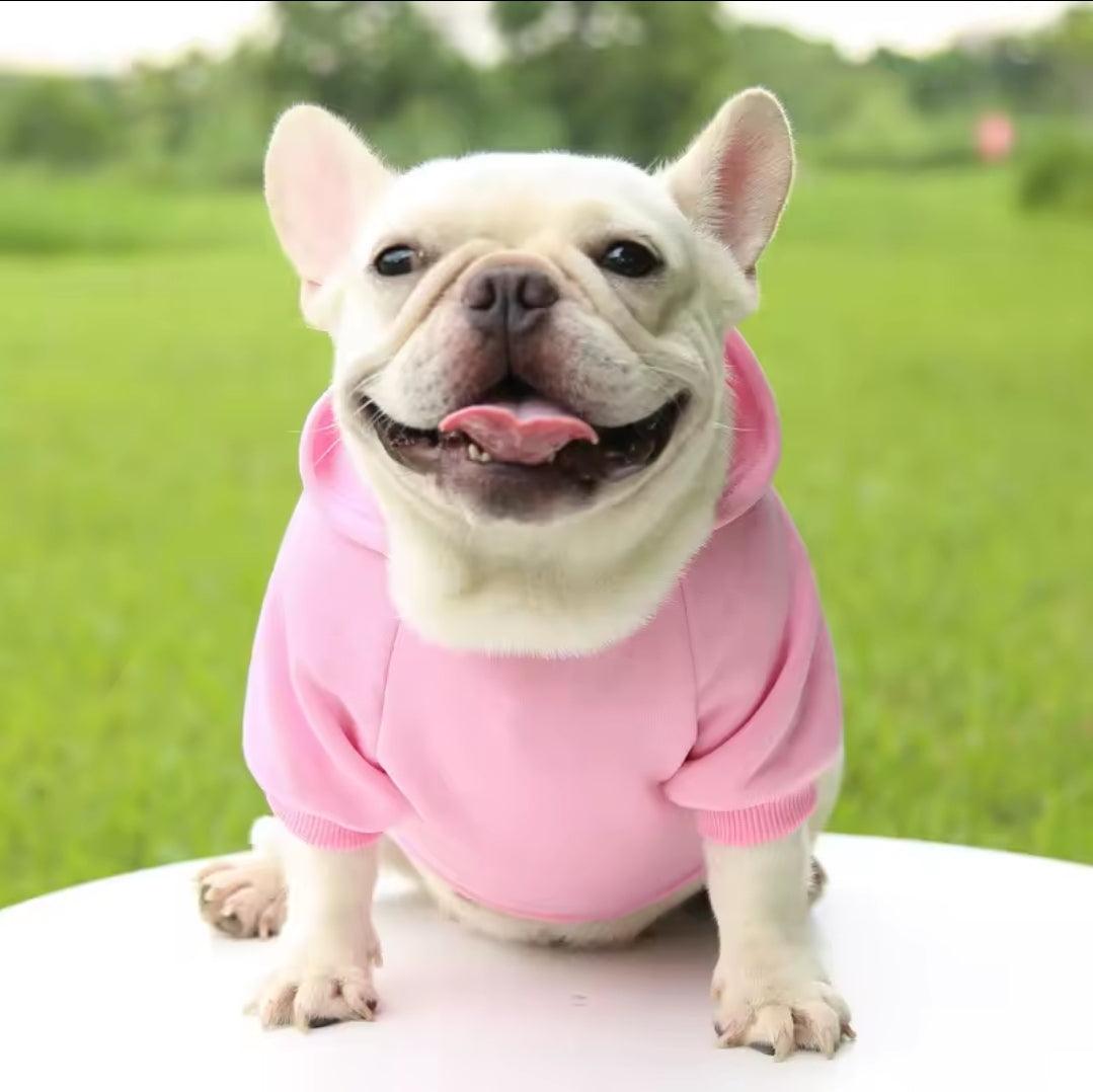 Dog Shack UK! Hoody For Dogs - North East Pet Shop Dog Shack UK