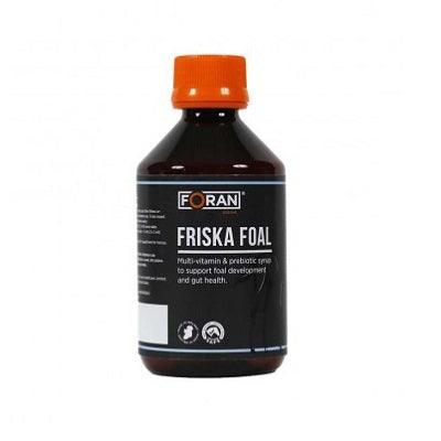 Foran Friska Foal - North East Pet Shop Foran Equine