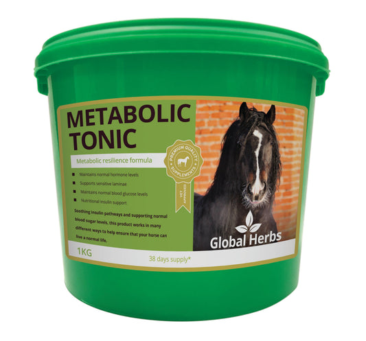 Global H Metabolic Tonic - North East Pet Shop Global Herbs