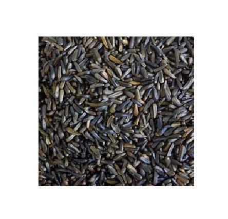 Hutton Mill Nyjer Seed - North East Pet Shop Nyjerseed
