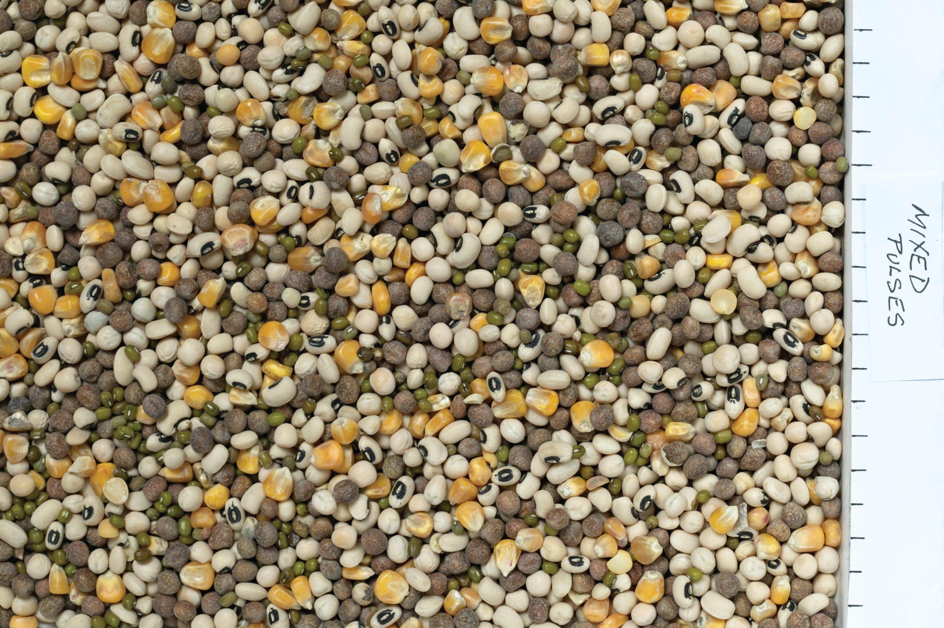 Johnston & Jeff Mixed Pulses - North East Pet Shop Johnston & Jeff