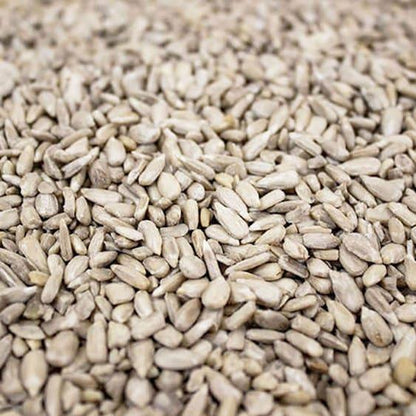 Gardman Flip Top Sunflower Heart Feeder (WITH 1KG SUNFLOWER HEARTS)