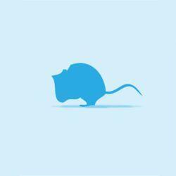 Monkfield Mouse, Small Pinkies, 25pack - North East Pet Shop MonkField