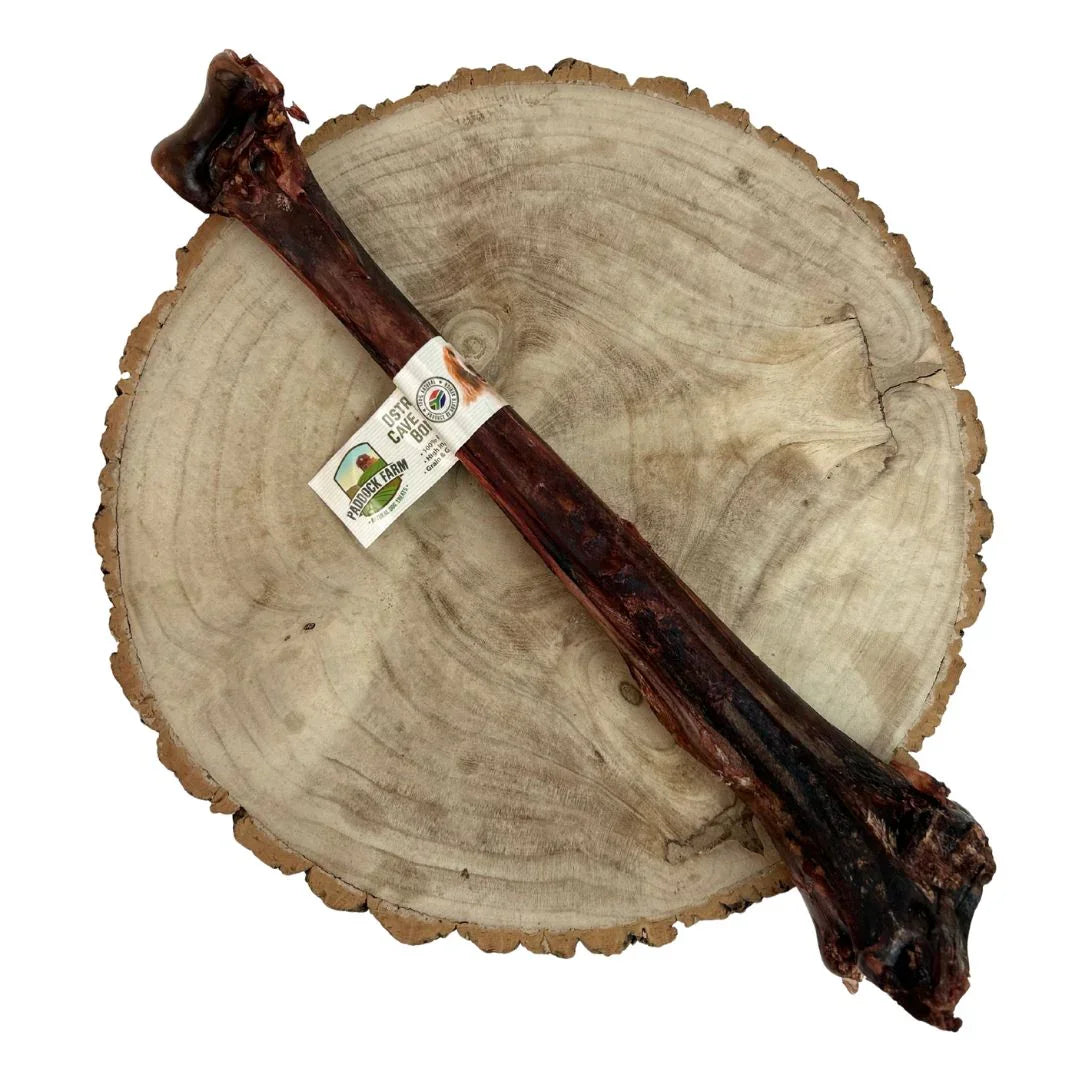 Ostrich Caveman Bone - North East Pet Shop Paddock Farm