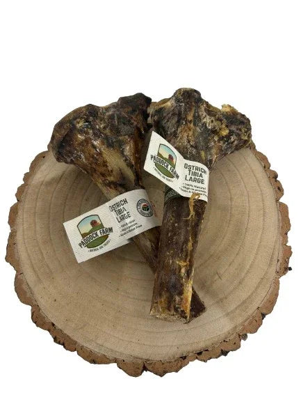 Ostrich Large Tibia Bone - North East Pet Shop Paddock Farm