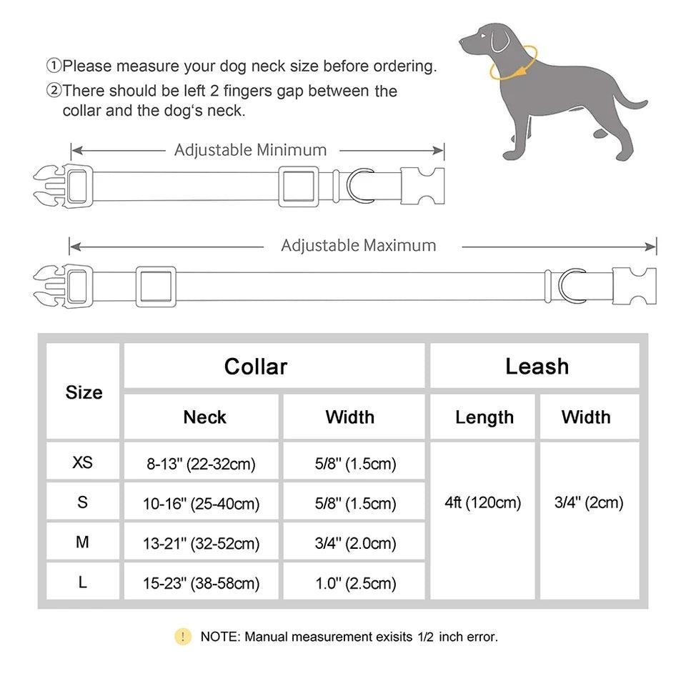 Personalised Dog Collar and Leash Set - Leather - North East Pet Shop Dog Shack UK